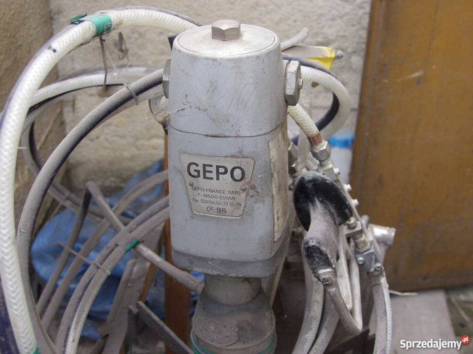 żelkociarka Biała Podlaska