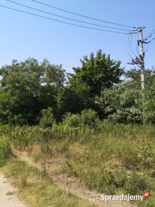 Sprzedam bezpośrednio działkę 5700m2 w otoczeniu Teodorowo