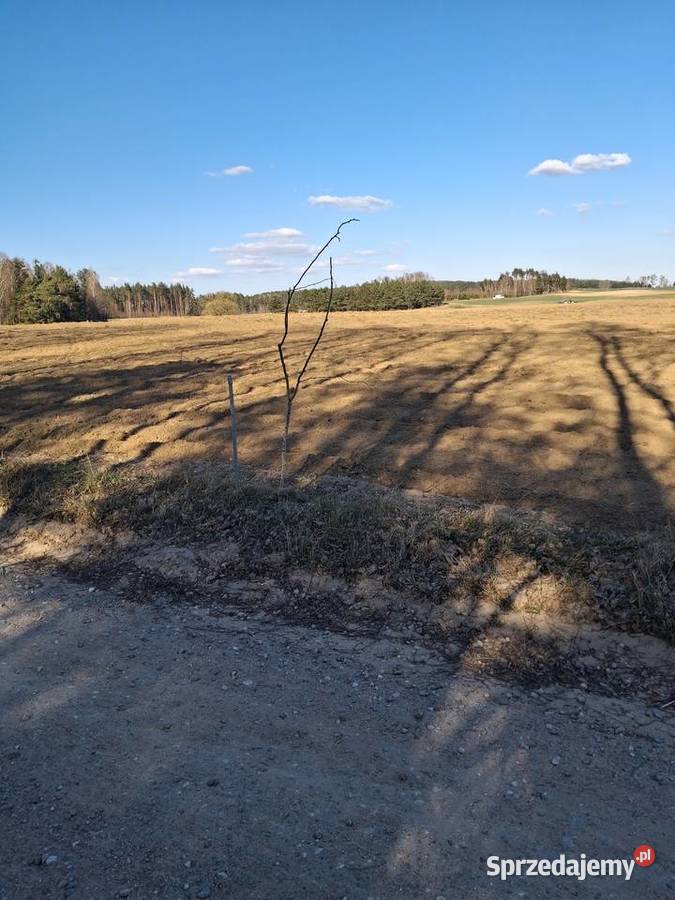 Działka budowlana z decyzją 195zł/m2 Wiele