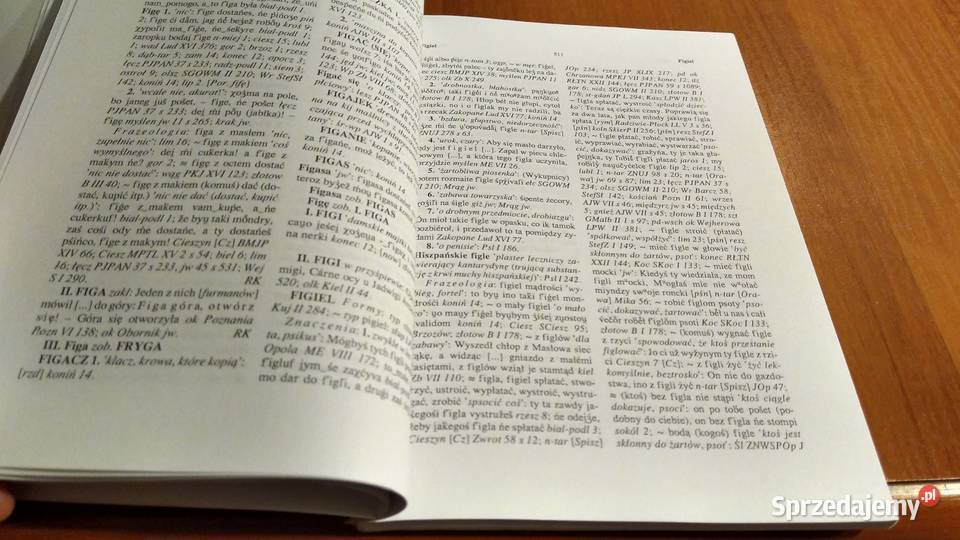 Słownik gwar polskich T 7 z 4 Gdańsk