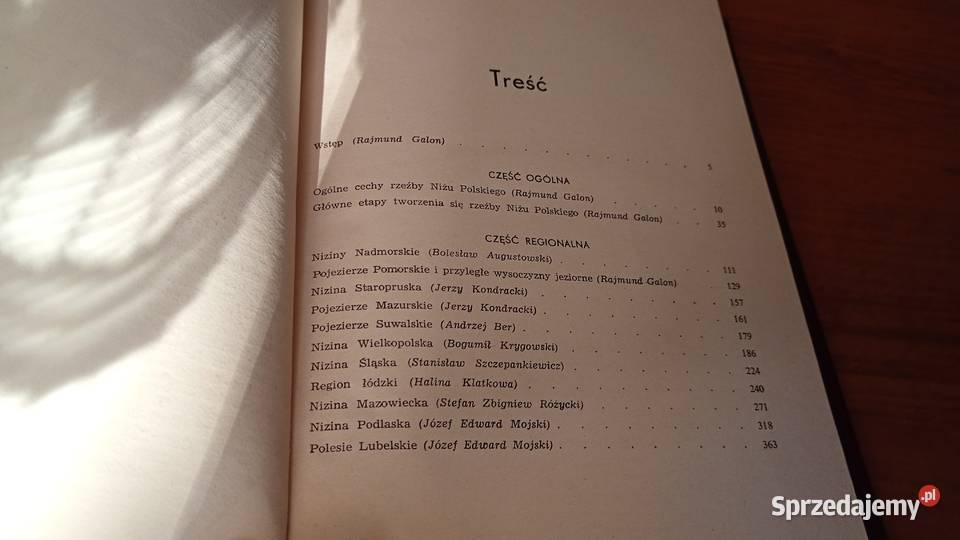 Geomorfologia Polski T 2 Niż Polski Rajmund Rok wydania 1972 Gdańsk