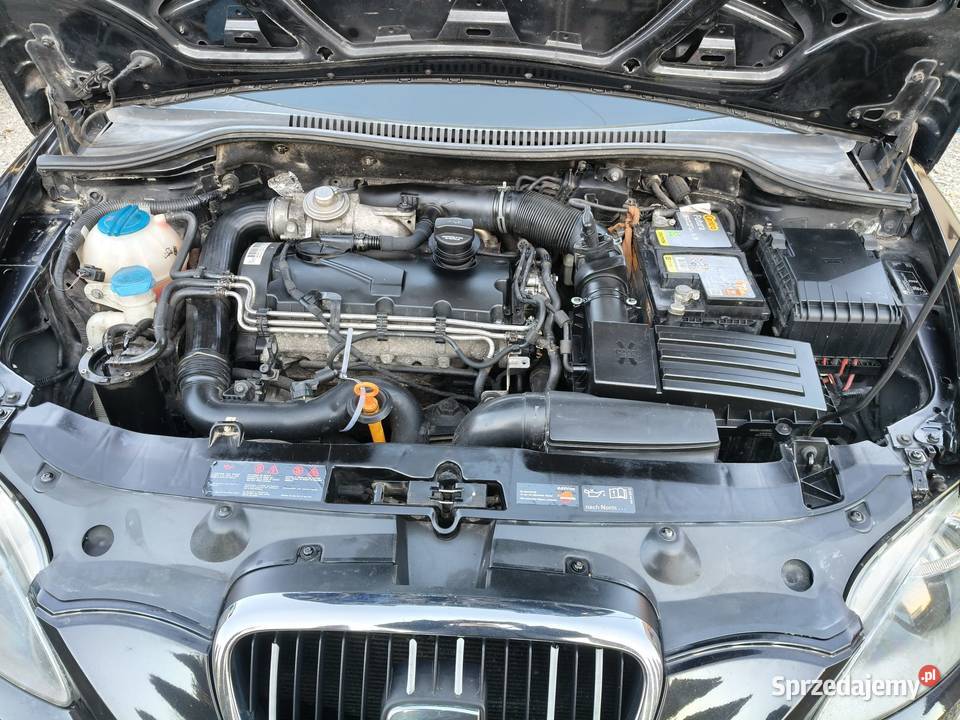 Seat Leon II 19 2 19 105 nieuszkodzony Motoryzacja Zielonki