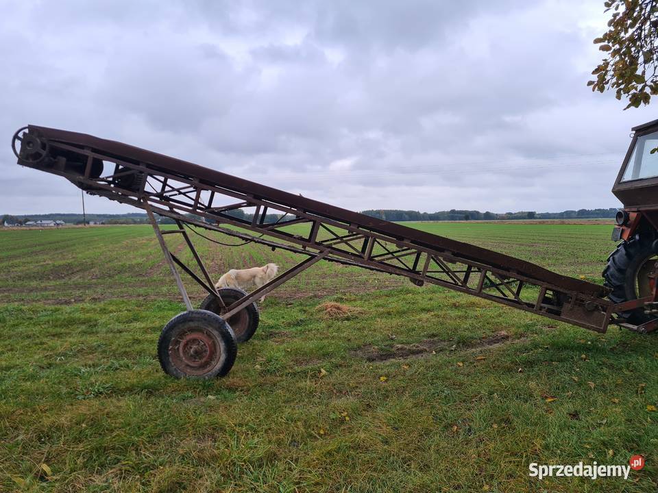 Transporter do obornika Taśmociąg Podajnik Taśmociągi i podajniki Wyszków