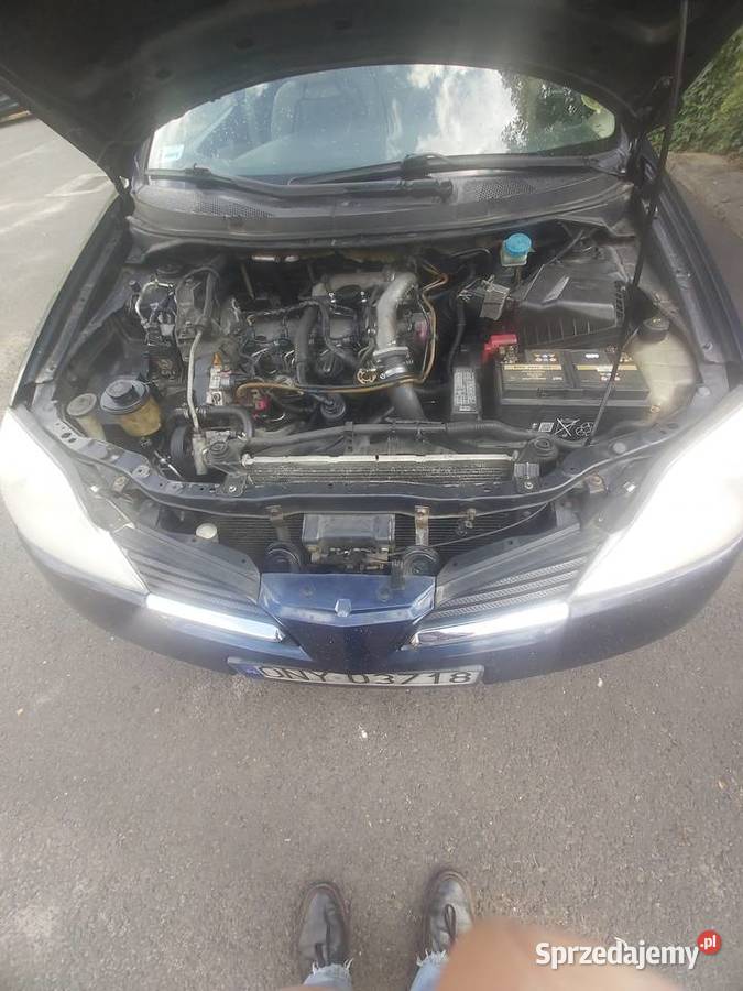 Nissan Primera P12 Kombi Primera opolskie