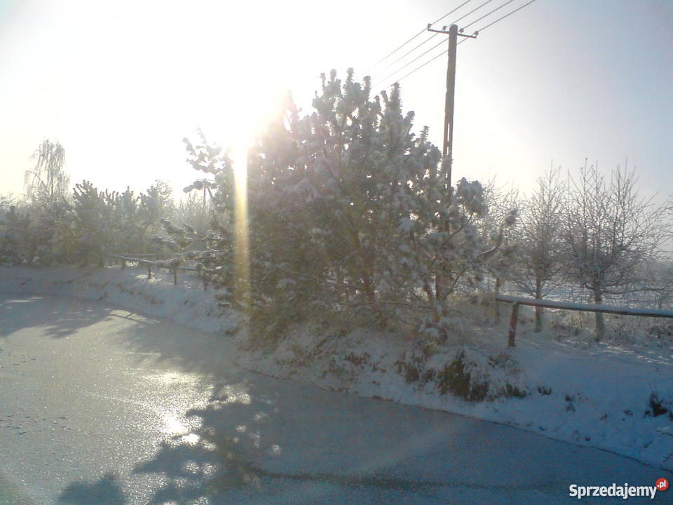 Sprzedam siedlisko rekreacyjny Celestyny