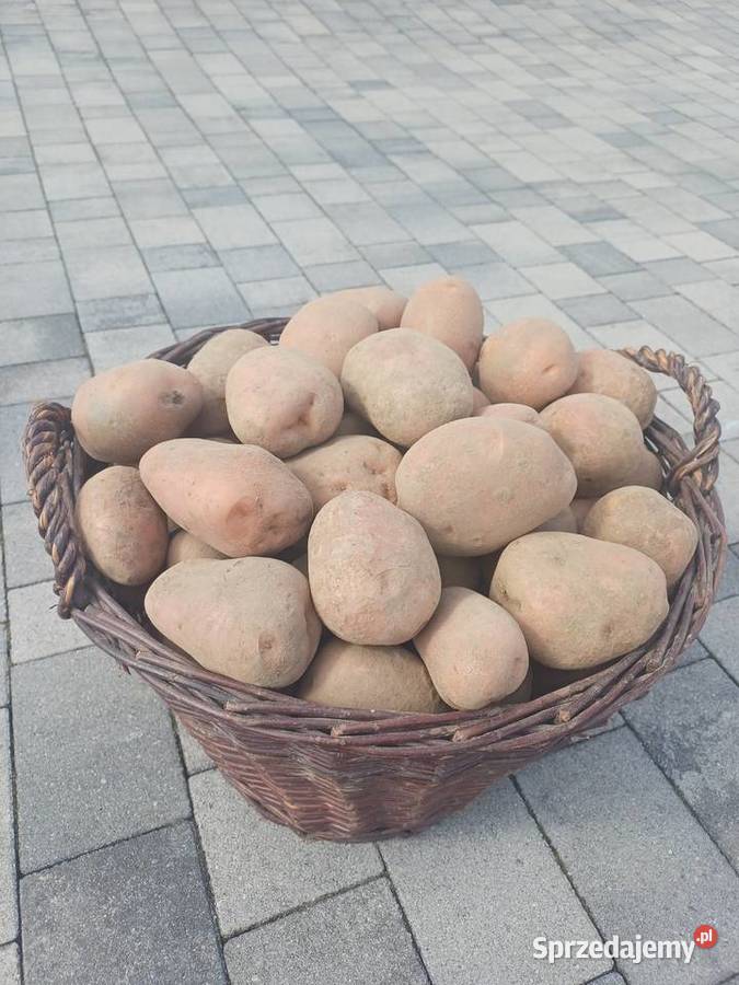 Ziemniaki czerwone sprzedam