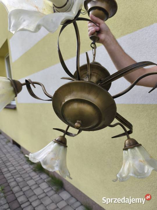 Żyrandol Tulipan 5x Lampa wisząca MADE IN POLAND podkarpackie Dębica