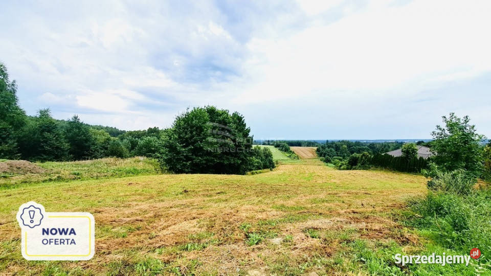 Sabaudia działka w zielonej okolicy sprzedam