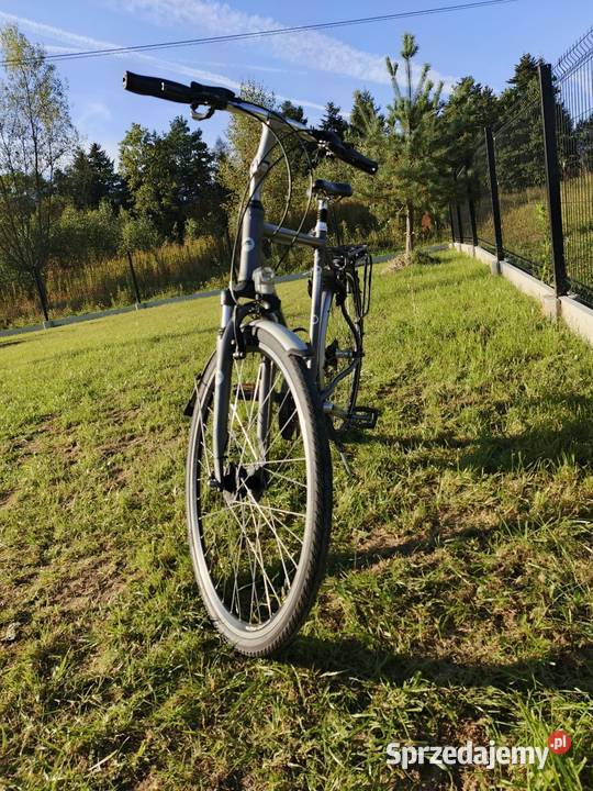 Rower Pegazus Solero Ołpiny