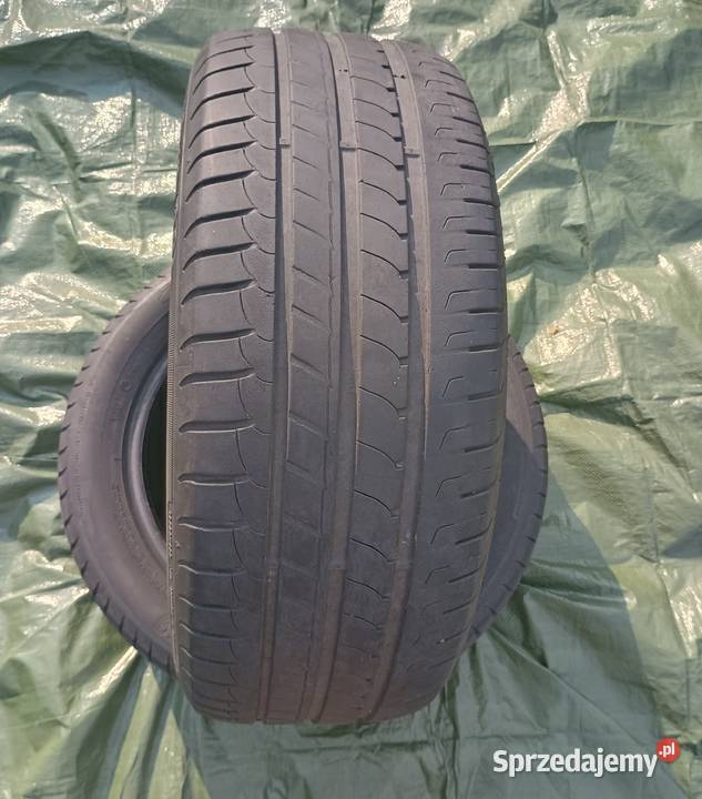 Opony Goodyear EfficientGrip 2055516 Krasnystaw