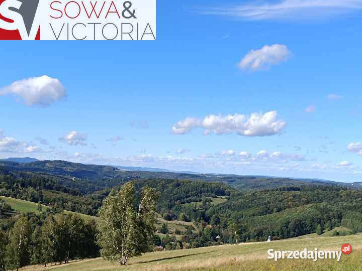 Niepowtarzalne widoki Michałkowa
