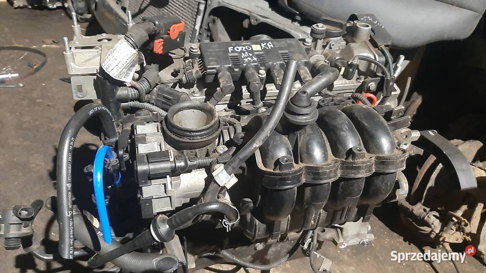 silnik 79 12 Fiat Ford 169A4000 Korzeńsko