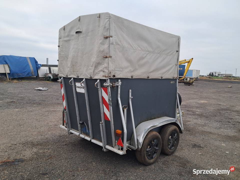 Przyczepa do koni Do przewozu koni