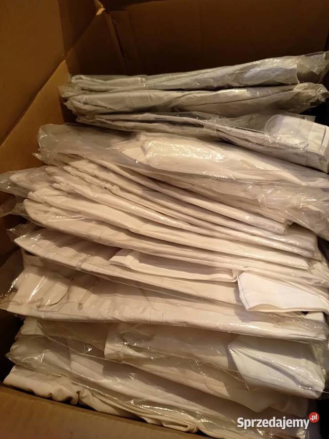 OGŁOWIE BEZWĘDZIDŁOWE BRĄZOWE L Kazanów