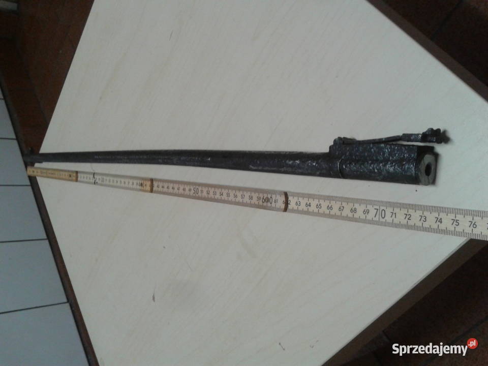 lufa Berthierstaroć wielkopolskie Skiereszewo