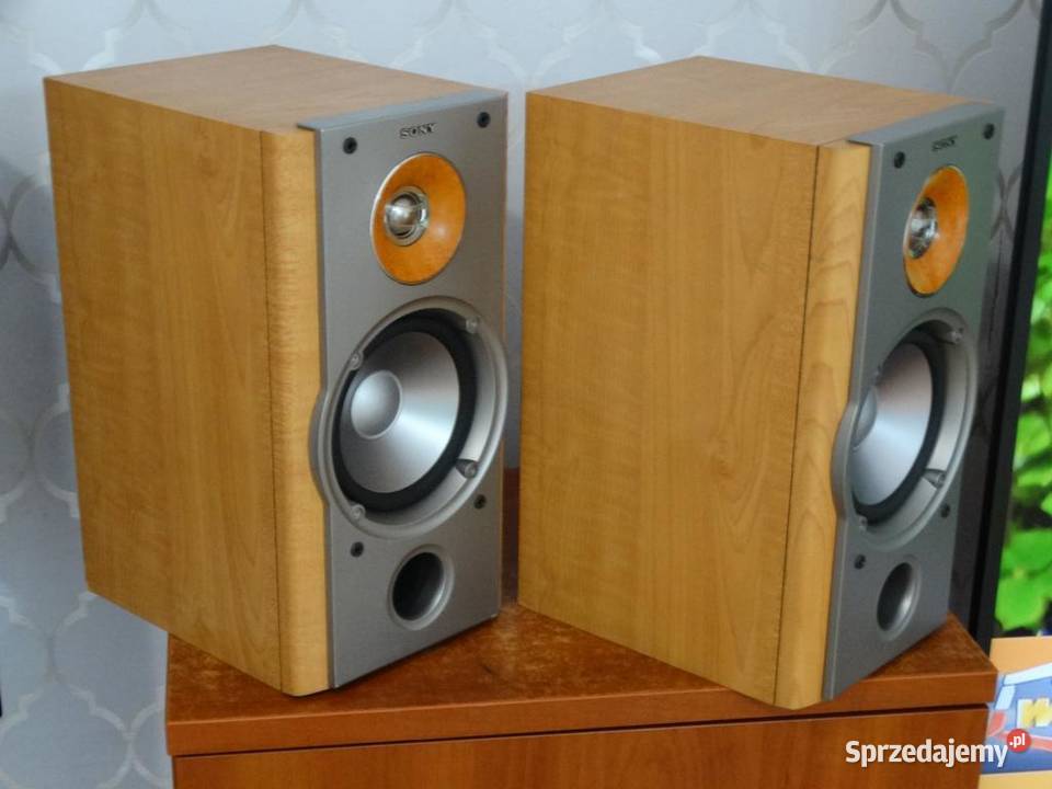 Kolumny Sony SSNX1 mocne i sprawne WYSYŁKA Jasło