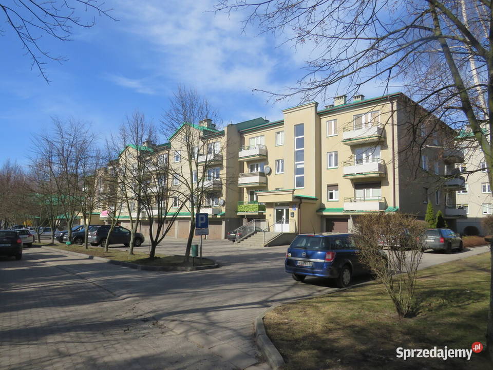 Syndyk sprzeda piwnicę lokatorską w Siedlcach mazowieckie Siedlce sprzedam