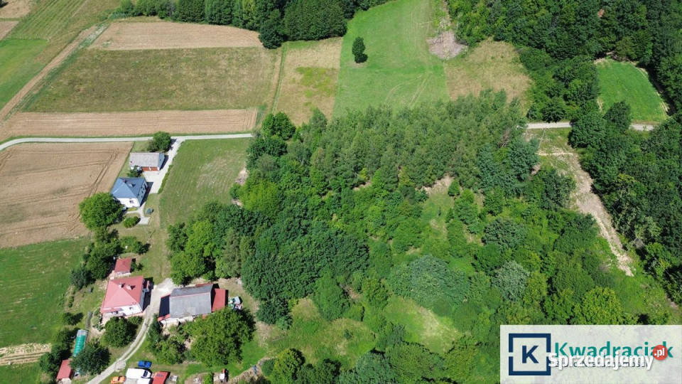 Działka Odrzykoń 1677m2 Sprzedaż