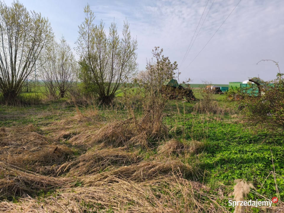 Domek z dużą działką Sadogóra Okazja sprzedam