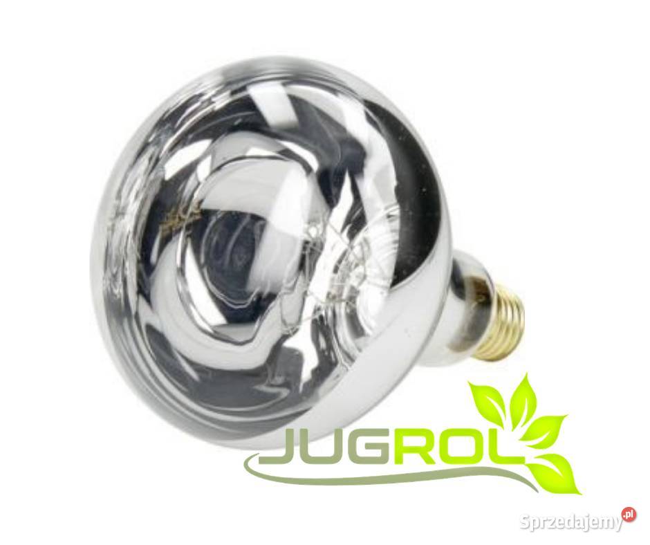 Promiennik HardGlass 150W biały Pozostałe Drzonek