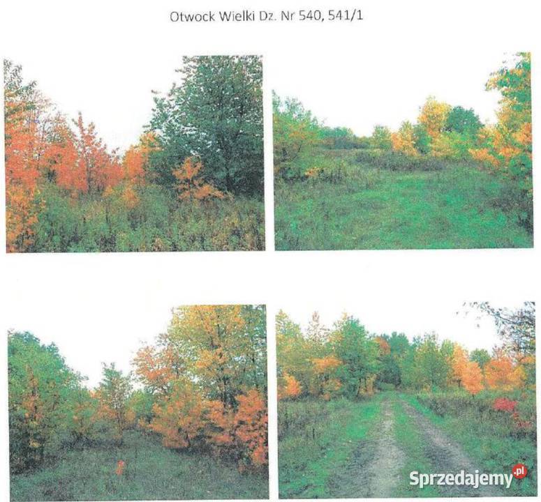 Otwock Wielki 05258 ha