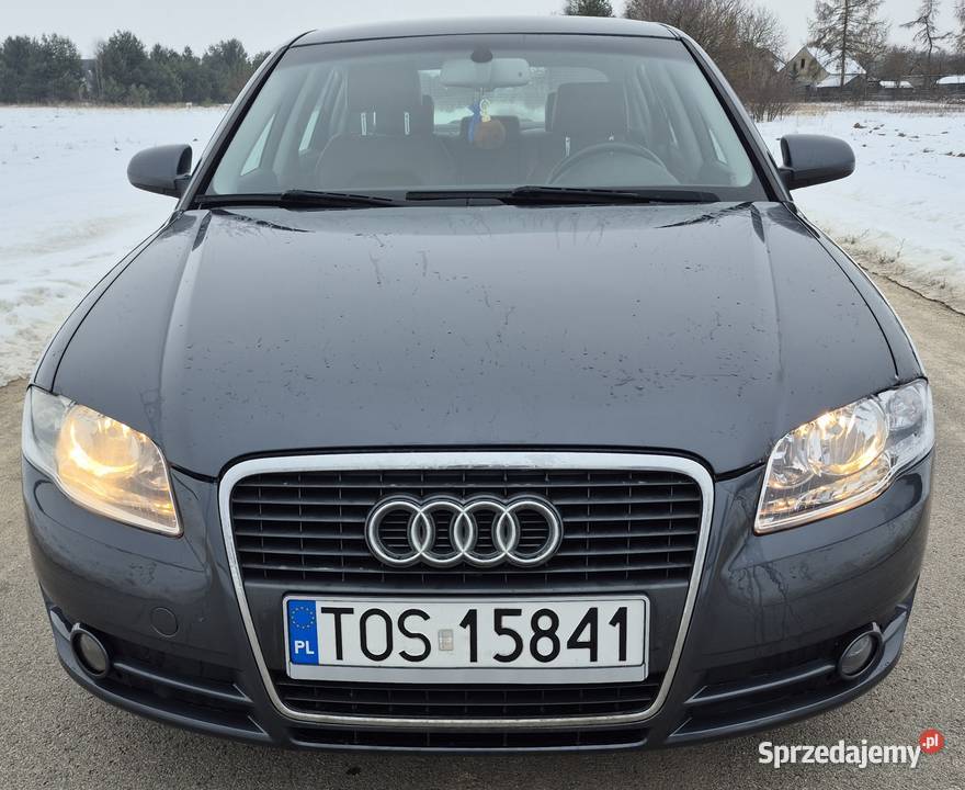 Audi A4 B7 19 Tdi