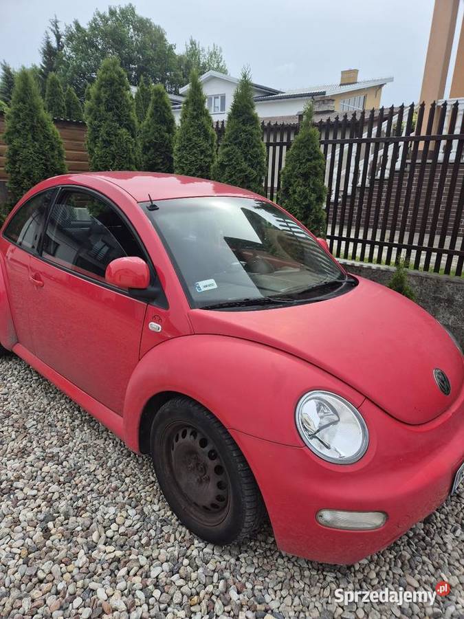 Beetle