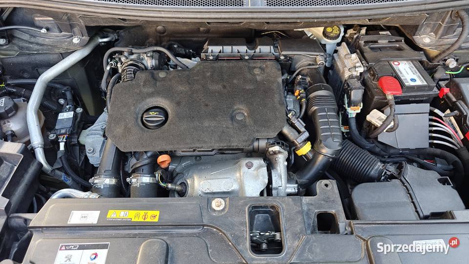 Peugeot 3008 15 BHDi Business Line EAT8 RAPORT 130KM wielkopolskie