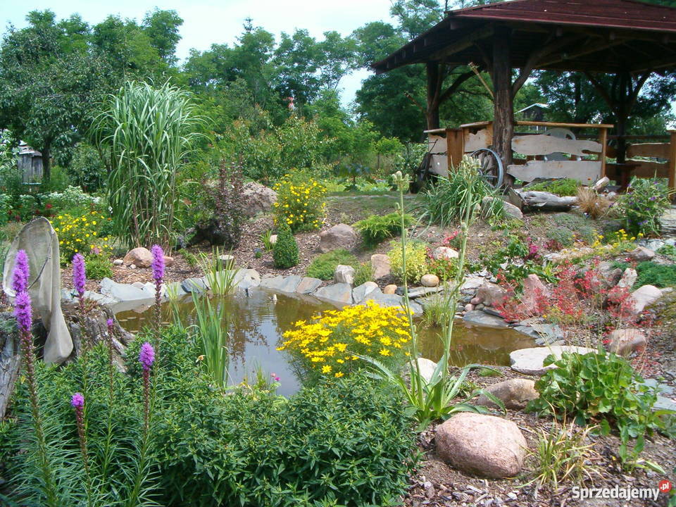 Usługi ogrodnicze na terenie Łodzi i okolic Łódź