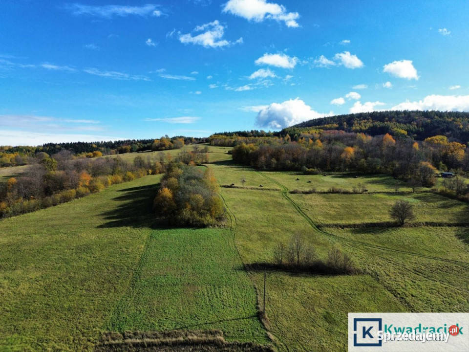 Ziemia 2000m2 RymanówZdrój Rymanów-Zdrój