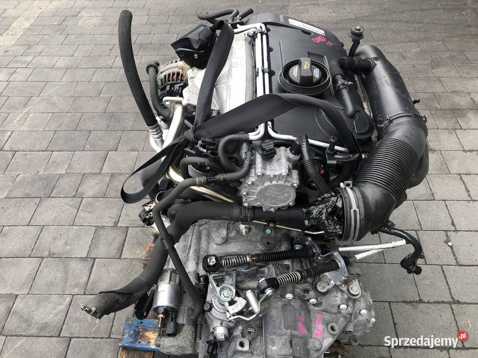 Silnik Kompletny 20 Tdi Bkd Audi Vw Seat Skoda 4 osobowe Dobra Nadzieja