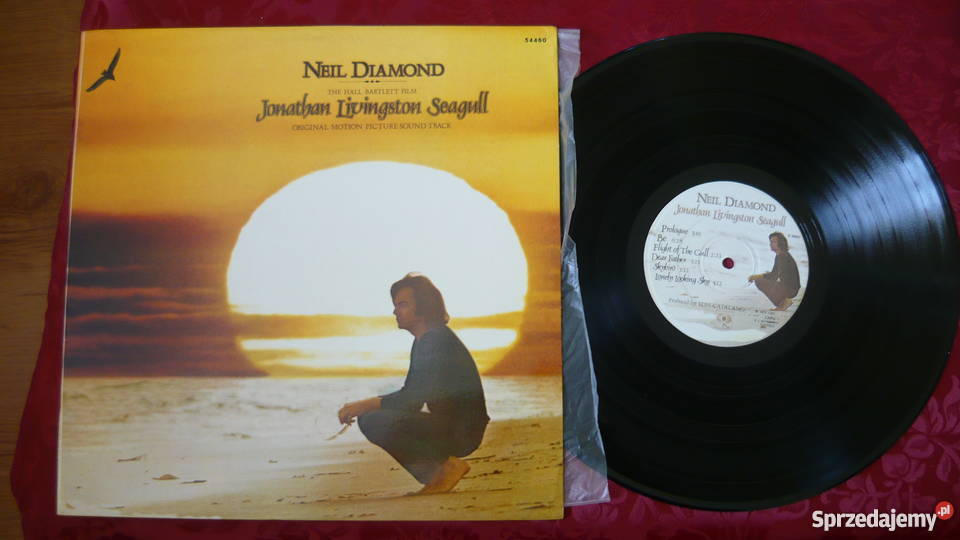 Płyta Neil Diamond płyta winylowa śląskie Myszków