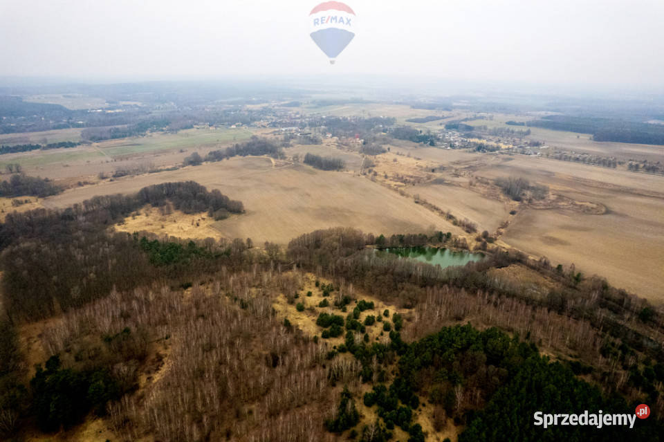 Działka rolna Grabowno Wielkie gm Twardogóra Sprzedaż sprzedam