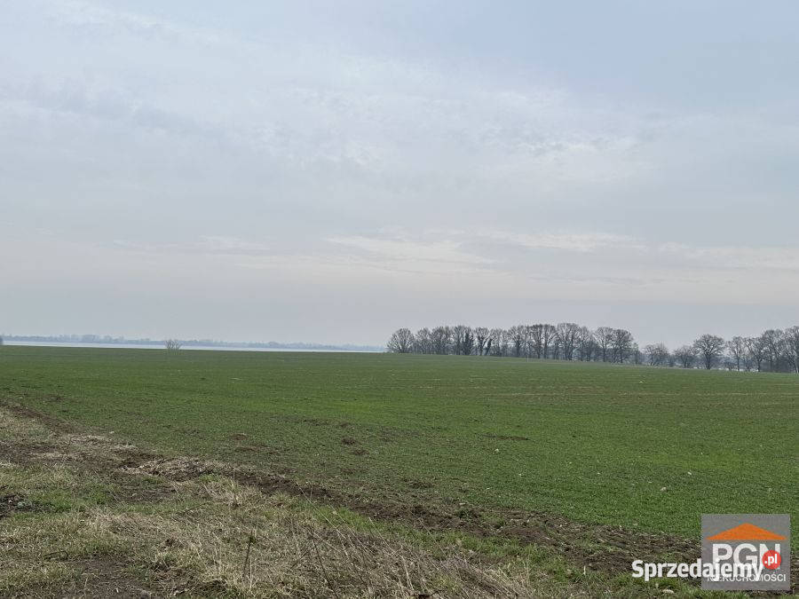 Ogłoszenie działka 27234m2 Chrząszczewo