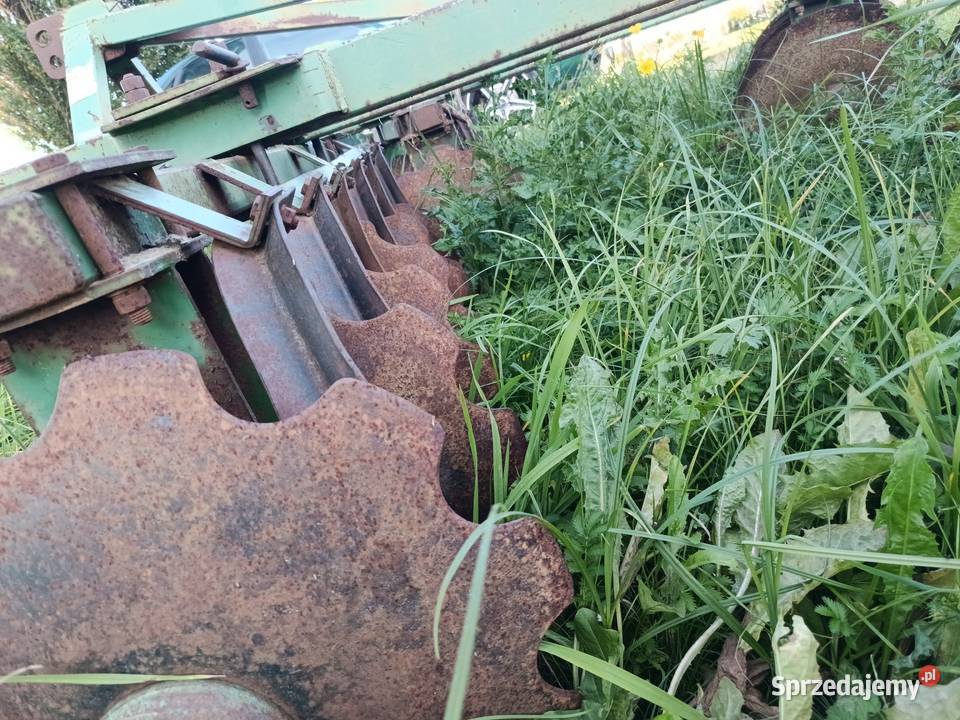 Talerzówka bomet Platerów