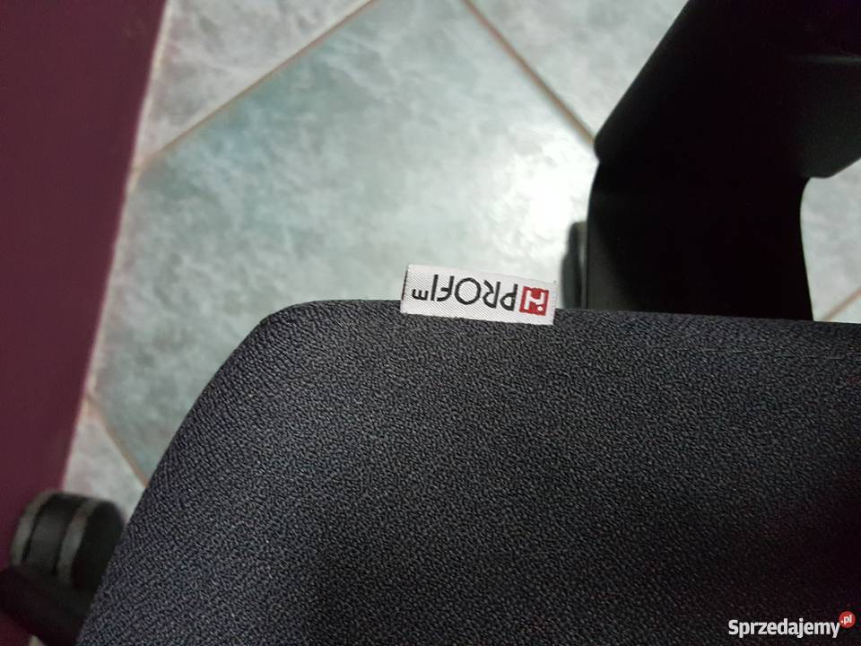 fotel biurowy Raya 21s Fotele i pufy Poznań