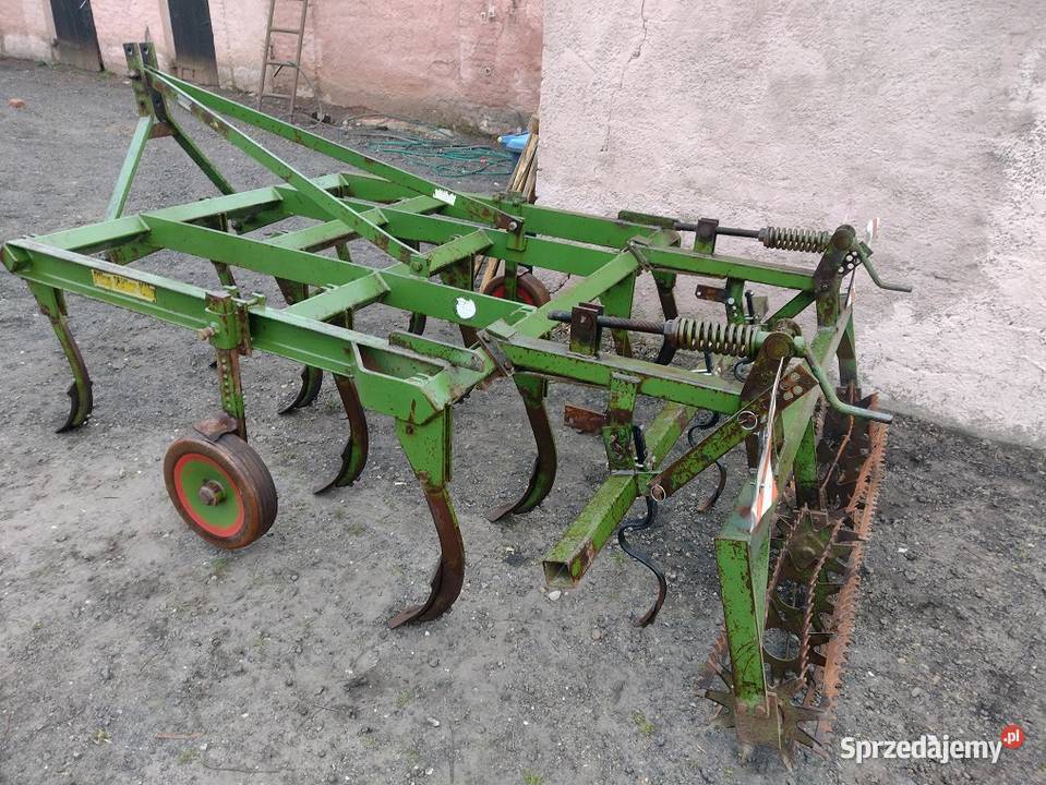 Gruber 11 łap Wilczyn sprzedam