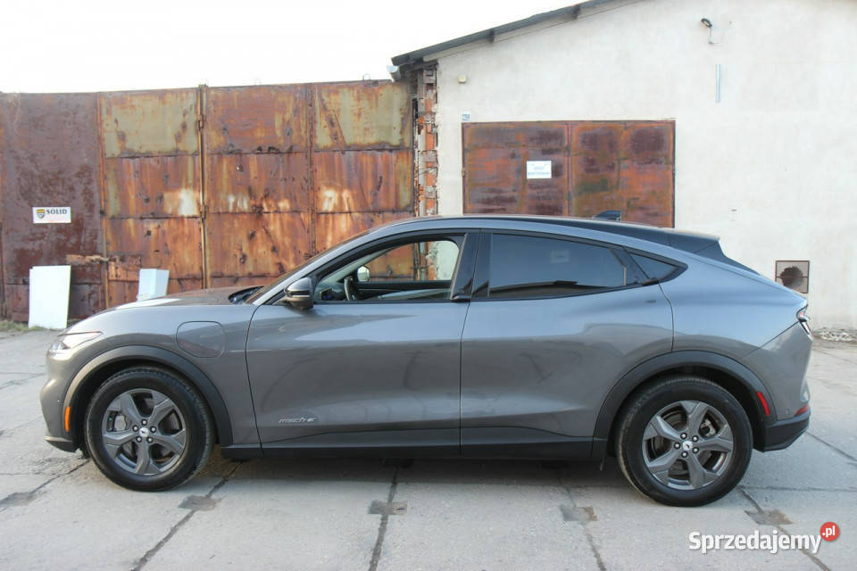 Ford Mustang MachE 2023 Elektryk 294 610 Zasięg SUV sprzedam