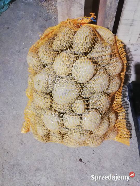 Sprzedam ziemniaki jadalne Jurek Soraya małopolskie