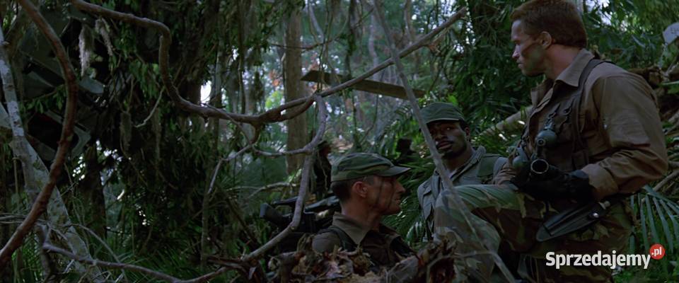 PREDATOR ARNOLD SCHWARZENEGGER 1 płyta wielkopolskie Kalisz
