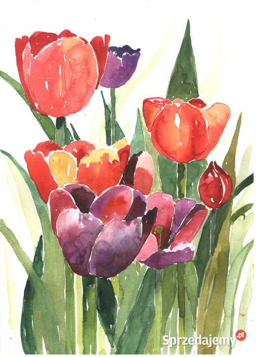 OBRAZ akwarela KWIATY Gryfów Śląski