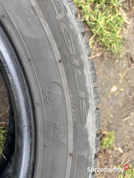 21560r17c Chojna