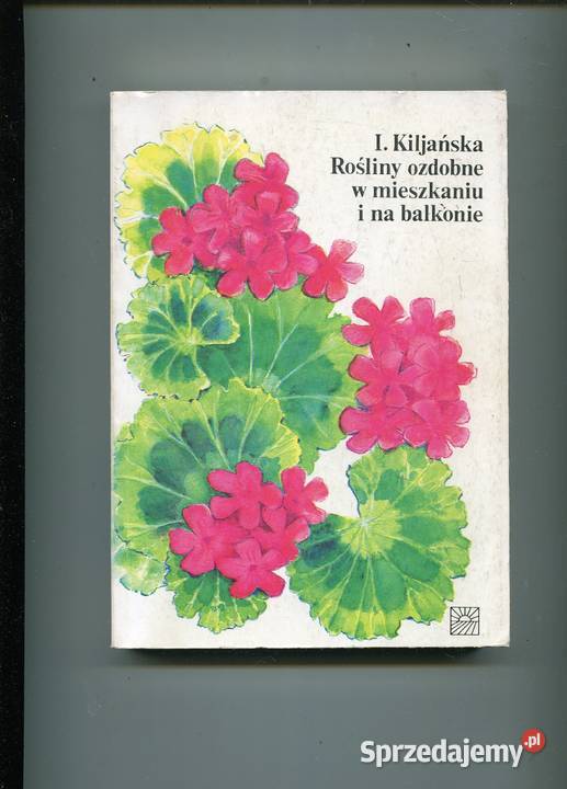 Rośliny ozdobne w mieszkaniu i na balkonie Szczecin