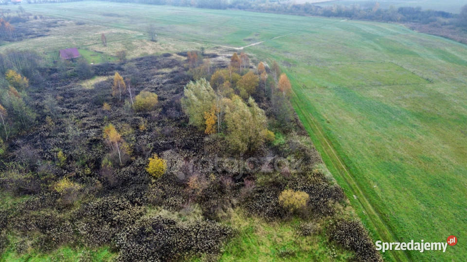 Działka 3356m2 Drewnica Zielona pomorskie sprzedam