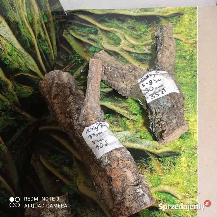 Gałęzie korkowe do terrarium różne kształty i Ostrów Wielkopolski