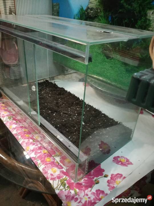 Terrarium Stargard sprzedam