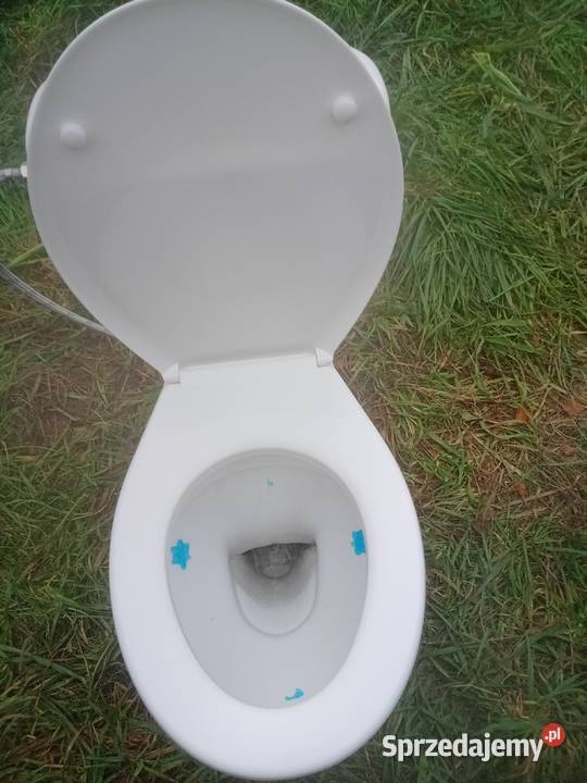 Sedes mito koło muszla klozetowa