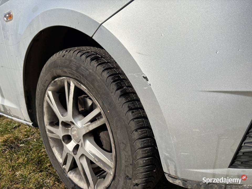 Seat Ibiza lubelskie Wrzelowiec