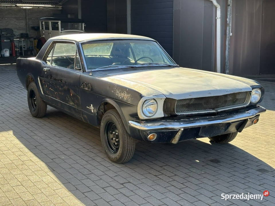 Ford Mustang Ford Mustang Coup 1965 110 Do Sulechów