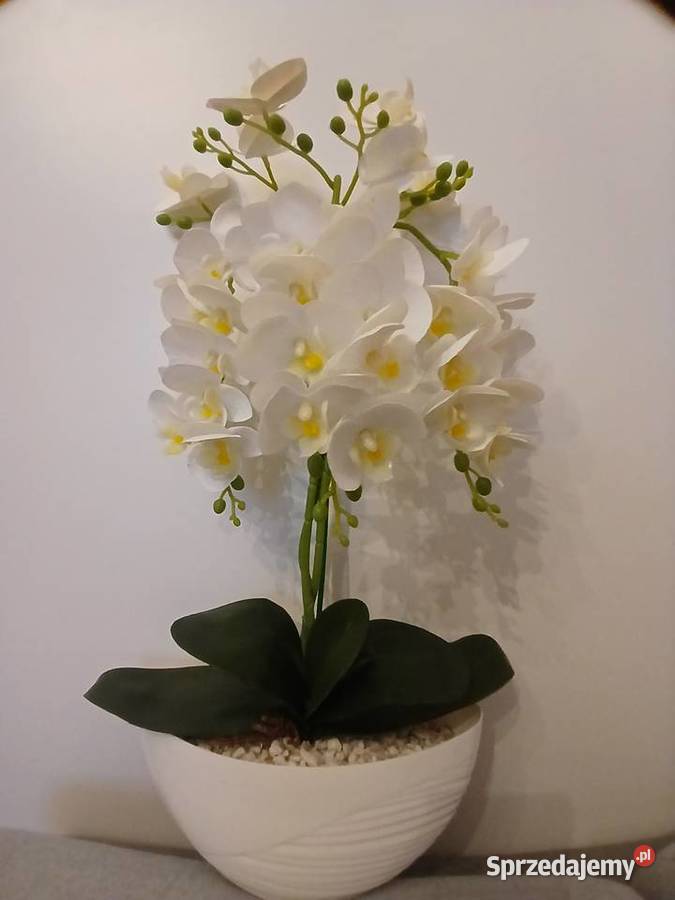 Storczyki sztuczne Zielona Góra